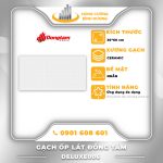 Gạch-Ceramic-Đồng-Tâm-Deluxe006
