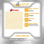 Gạch-Porcelain-Đồng-Tâm-Binhthuan002