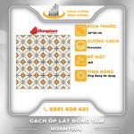 Gạch-Porcelain-Đồng-Tâm-Hoamy004