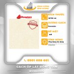 Gạch-Porcelain-Đồng-Tâm-Rome004