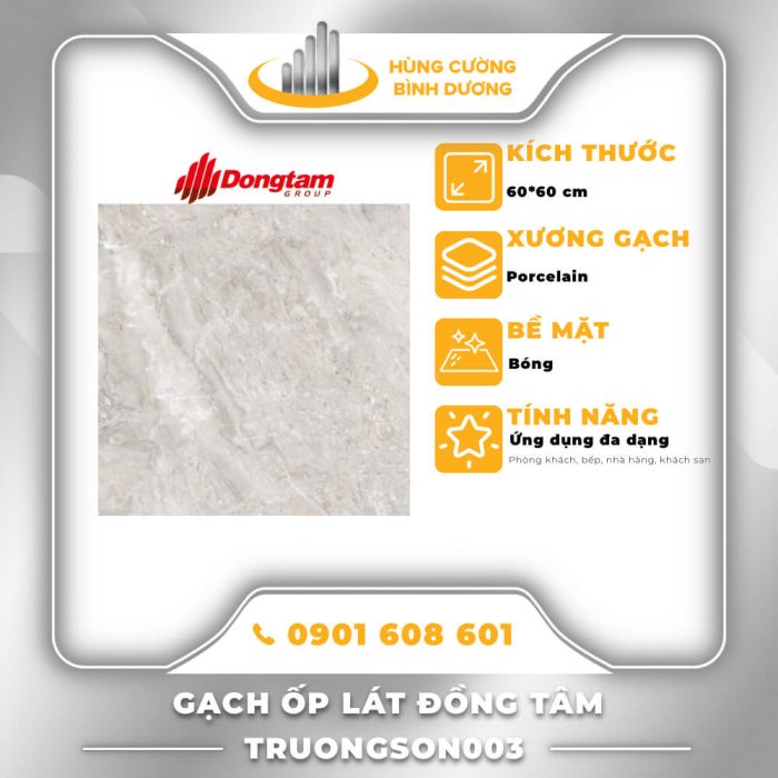 Gạch-Porcelain-Đồng-Tâm-Truongson003