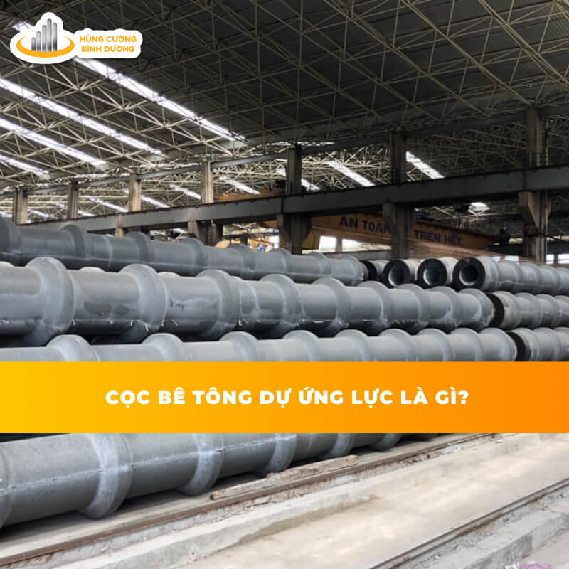 Cọc-Ly-Tâm-Dự-Ứng-Lực-Là-Gì