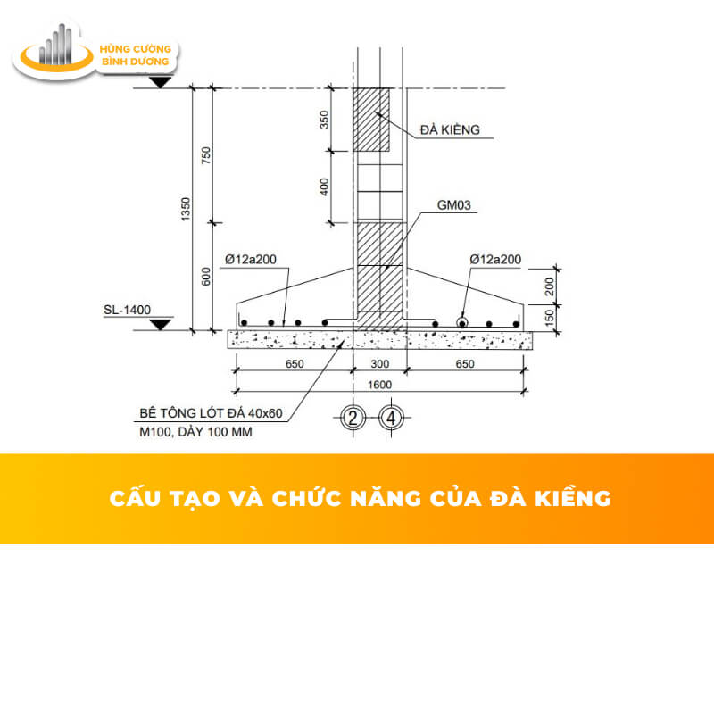 Cấu-Tạo-Và-Chức-Năng-Của-Đà-Kiềng
